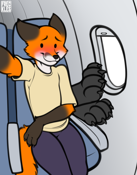 Paws on a Plane