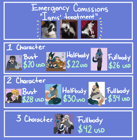 Emergency Commissions Open 