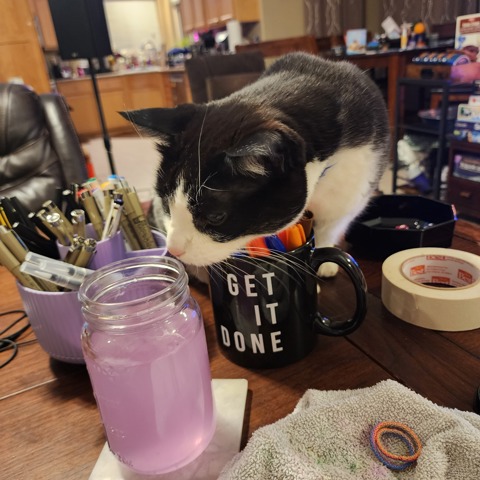 Behind the Scenes: Watercoloring with a Cat
