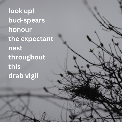 Photopoem shared 16th April 2024