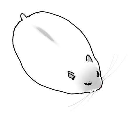 Colored hamster doodle