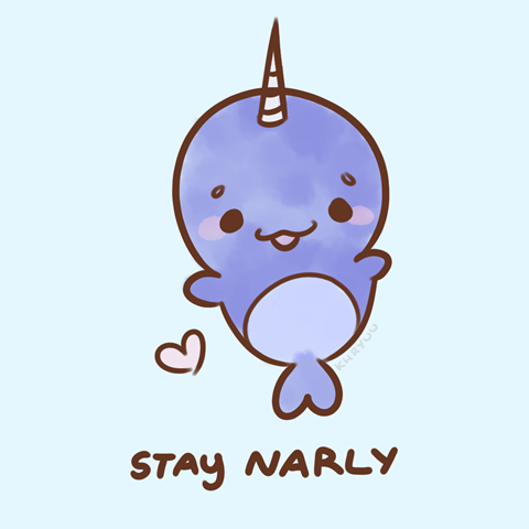 narly narwhal