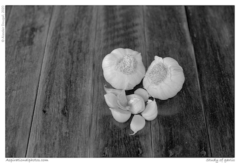 Study of garlic