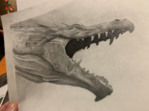 Detailed pencil drawing of dragon in Diagon Alley