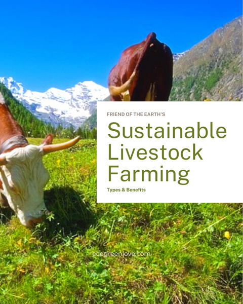 Sustainable Livestock Farming: Types & Benefits