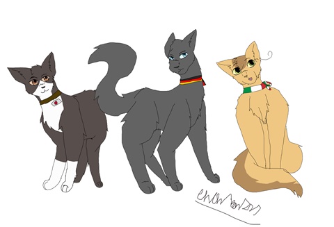APH but its that one picture with the three cats