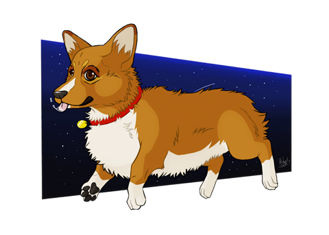 Ein the Space Dog
