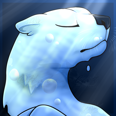 [ Adopt Headshot ] Pure Water Otter
