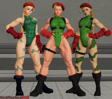 Next Project: Cammy White from Street Fighter