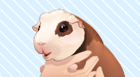 No Bow Guinea Pig Vtuber Pet - Czine's Ko-fi Shop - Ko-fi ️ Where ...