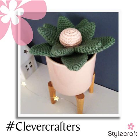 Crochet Cactus / Succulent