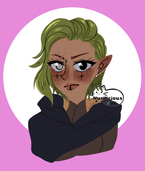 Aeruhna - Half-Elf Rogue