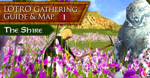 Coming Soon: Gathering Guide & Map Series Starting