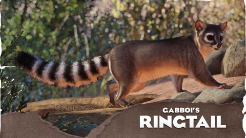 Ringtail mod has been released