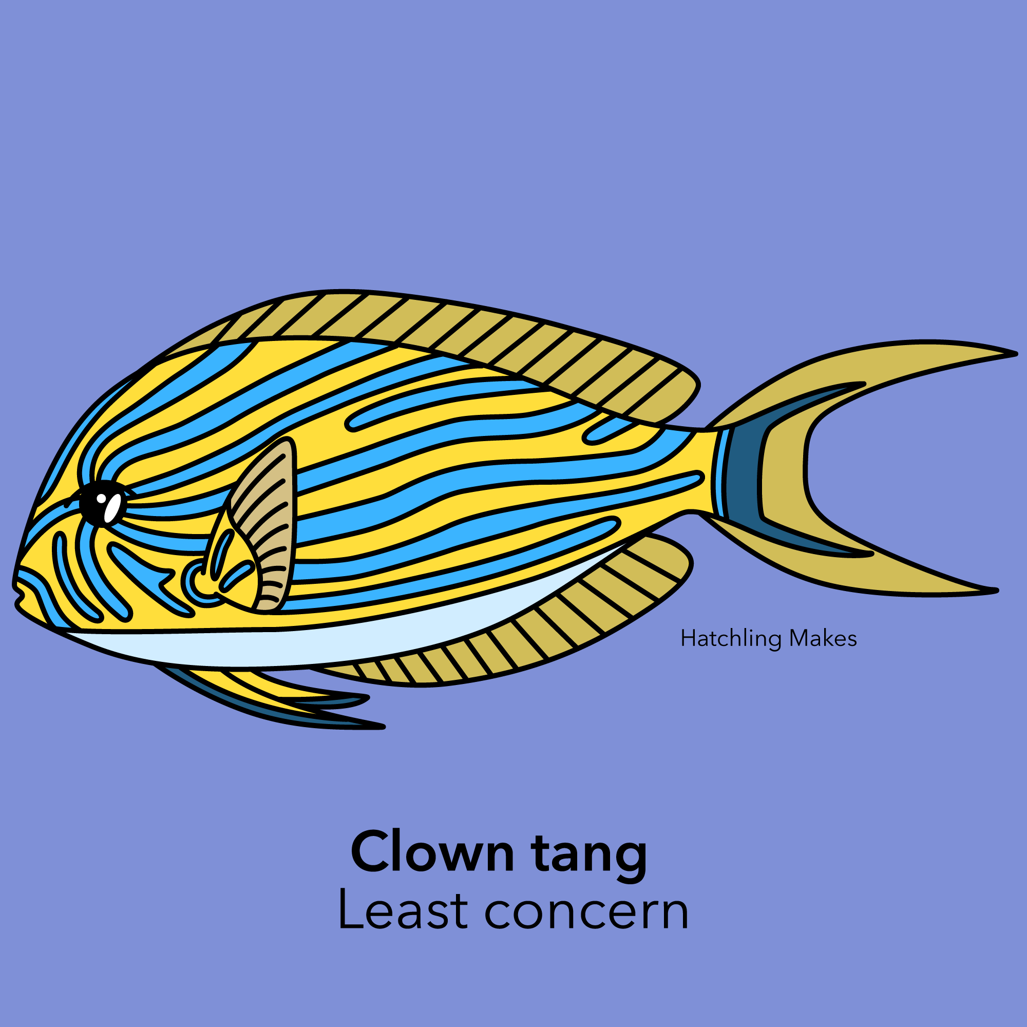 Clown tang