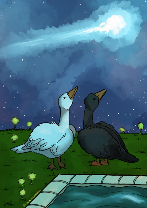 ✨Starry Geese✨