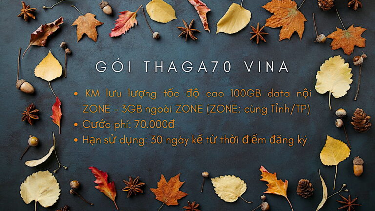 GÓI CƯỚC THAGA70 VINAPHONE