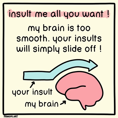 insult me all you want !