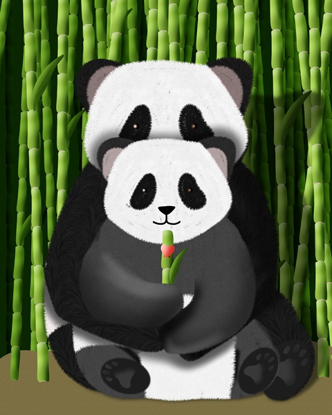 Panda pár