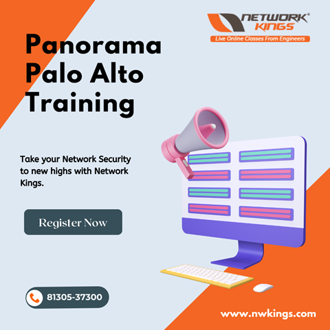 Panorama Palo Alto Training - Network Kings