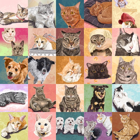 Sketchy Pet Compilation