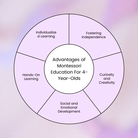 Montessori Education For 4-Year-Olds