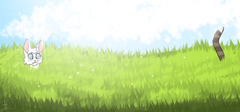 Valley Banner for Discord