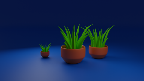 Some Plants