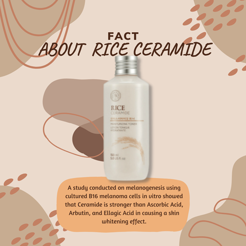 Fact about Rice Ceramide