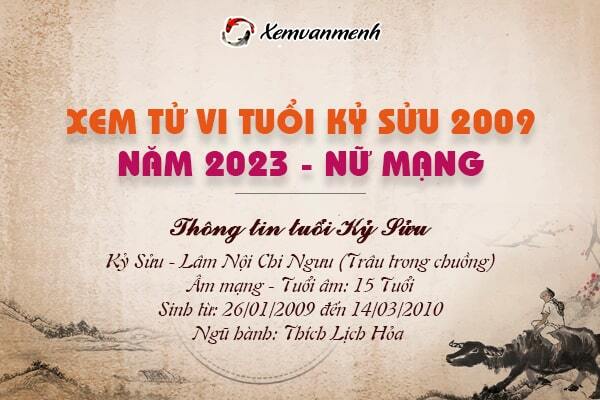 Tử vi tuổi Sửu sinh năm 2009: Khám phá vận mệnh và cơ hội