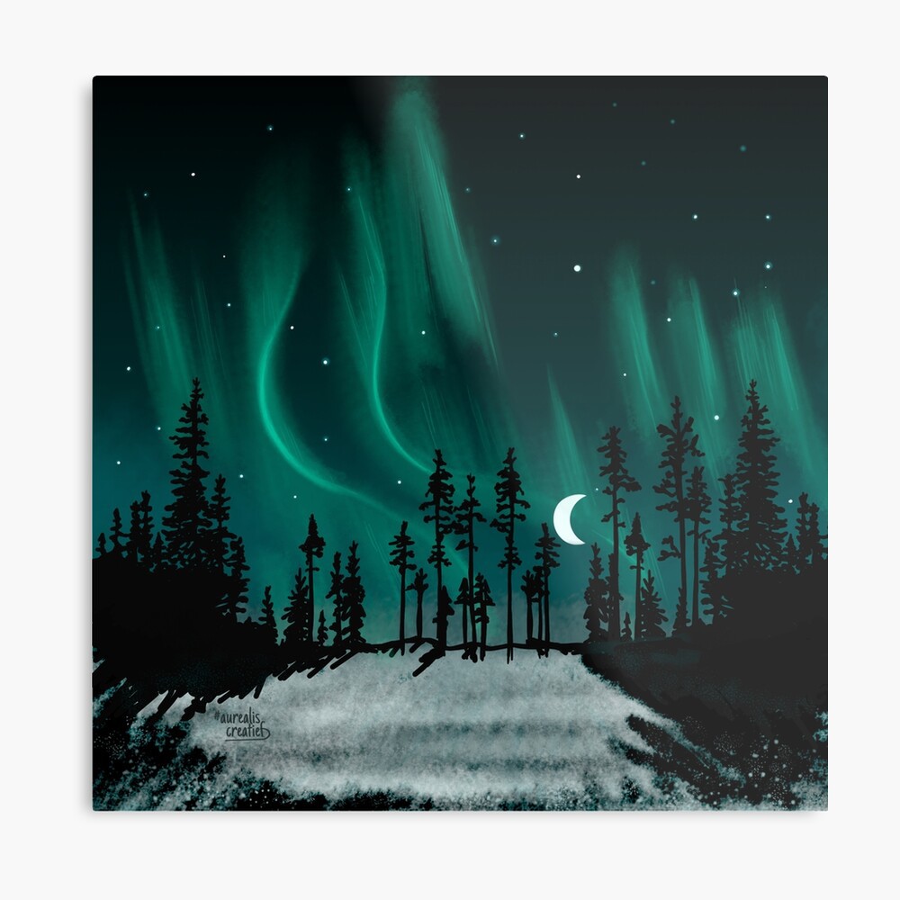 Northern lights forest