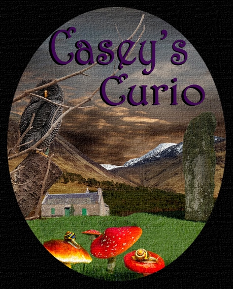 Casey's Curio Logo