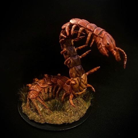 Giant Centipede