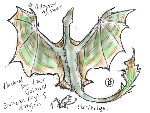 Bornean flying dragon