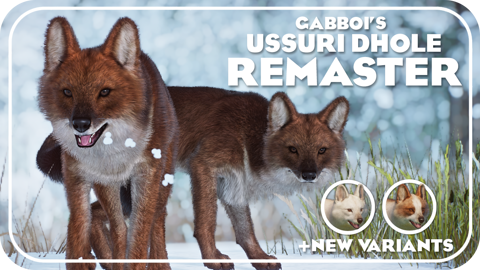 Dhole variants now available