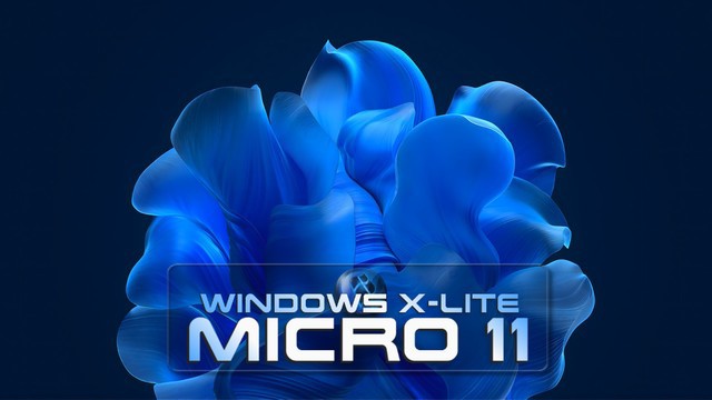 Micro 11