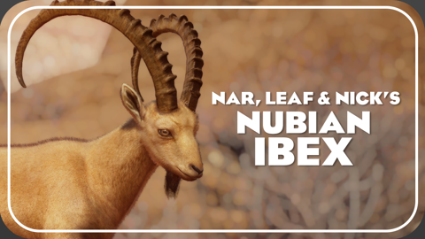 Nubian Ibex remake
