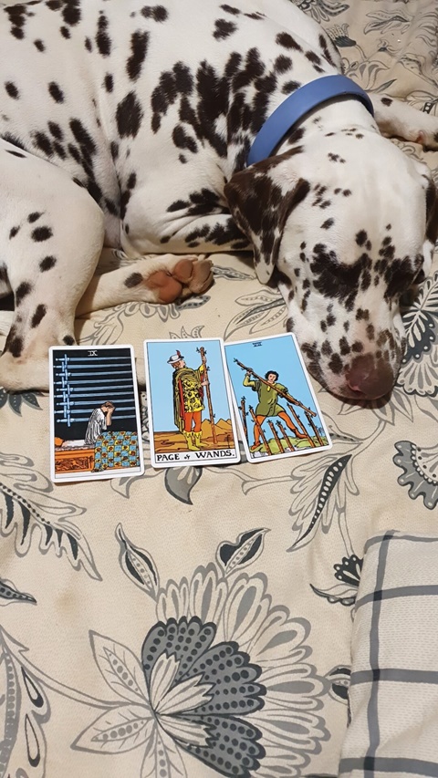 General reading for February 3rd