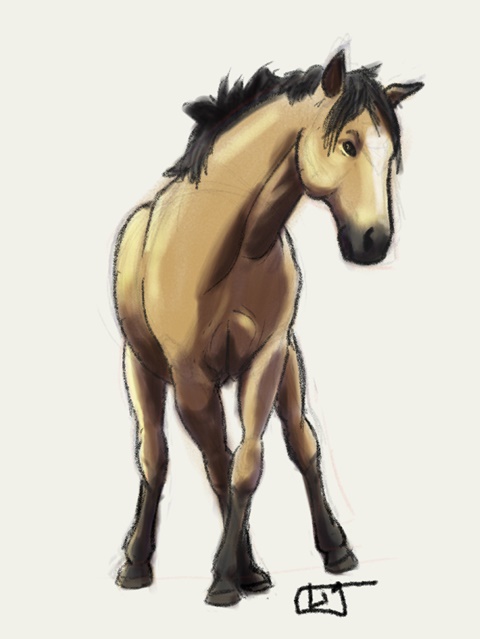 Startled Sidestep Horse Sketch