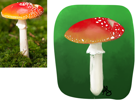 Mushroom study