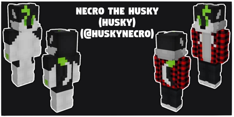 Commission Skin for @HuskyNecro