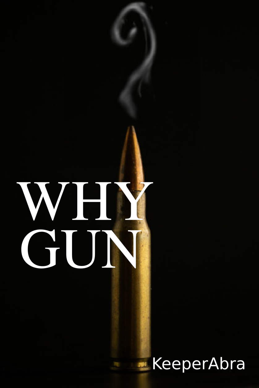 Cover for Why Gun