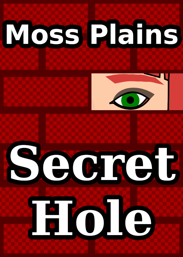 Secret Hole Cover 4