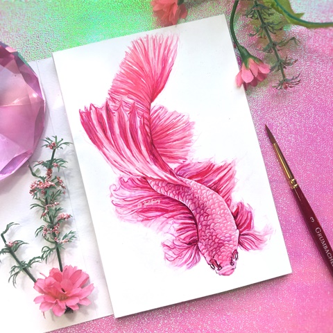 Pink Koi Fish