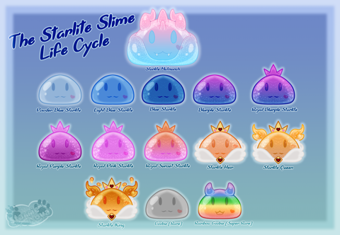 Starlite Slimes Life Cycle [Personal]