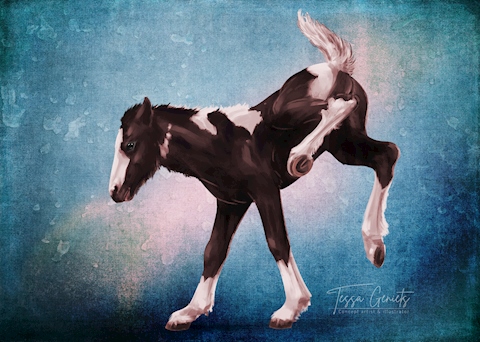 Foal 3