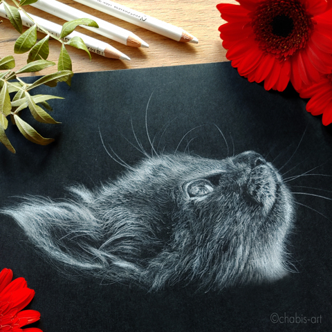 Cat drawing | Katzenzeichnung