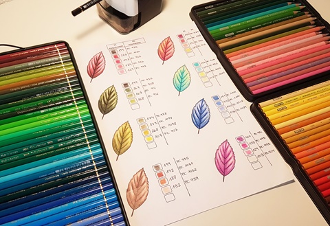 Wood COMBOS with Castle Arts Colored Pencils - Coloring with Miss Martly 's  Ko-fi Shop - Ko-fi ❤️ Where creators get support from fans through  donations, memberships, shop sales and more! The