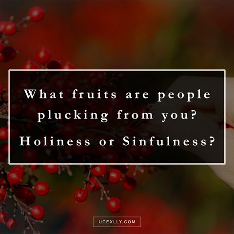 Holiness or Sinfulness?