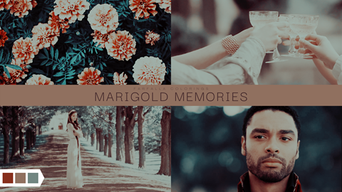  • F C P X C O L O R I N G • Marigold Memories